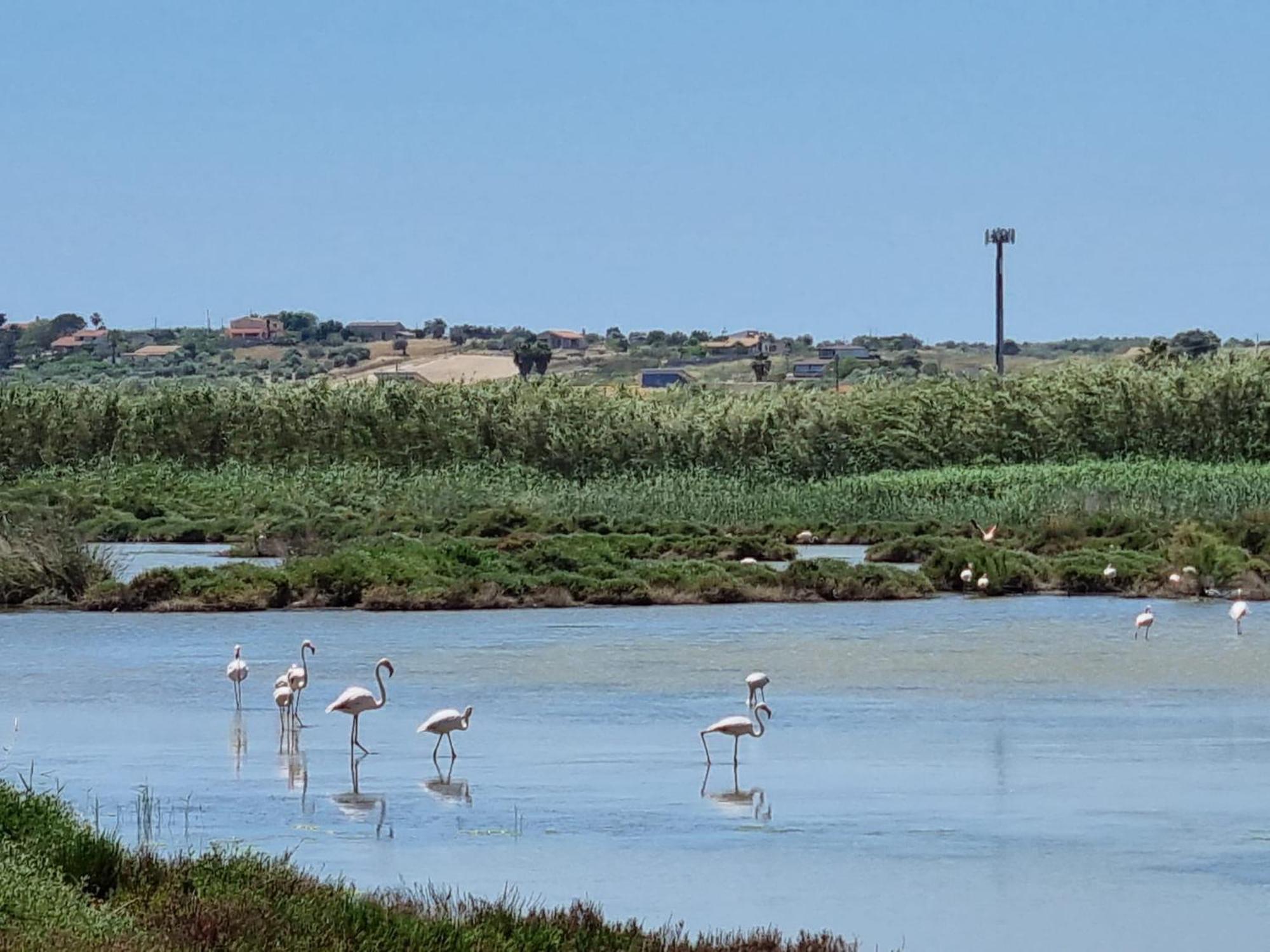 -Dimartino Home- Posizione Centrale 9 Min Da Marzamemi San Lorenzo Portopalo Di Capo Passero باكينو المظهر الخارجي الصورة
